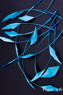 Oie flèche - 10-15 cm - turquoise-bleu ciel